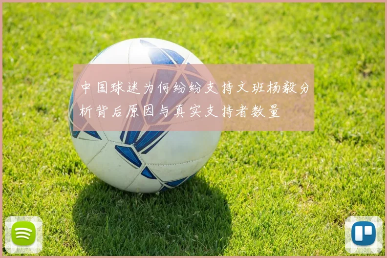 中国球迷为何纷纷支持文班杨毅分析背后原因与真实支持者数量